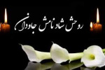 تسلیت خدمت جناب آقای دکتر فیروزکوهی
